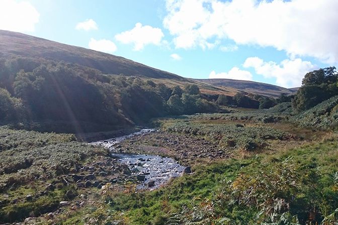 Cheviot Hills, Northumberland